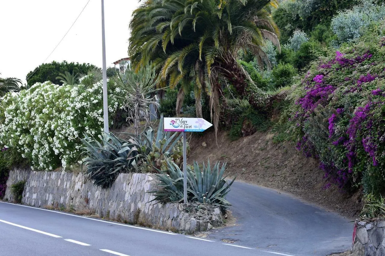 Agriturismo Un Mare Di Fiori 벤티밀리아 0*,