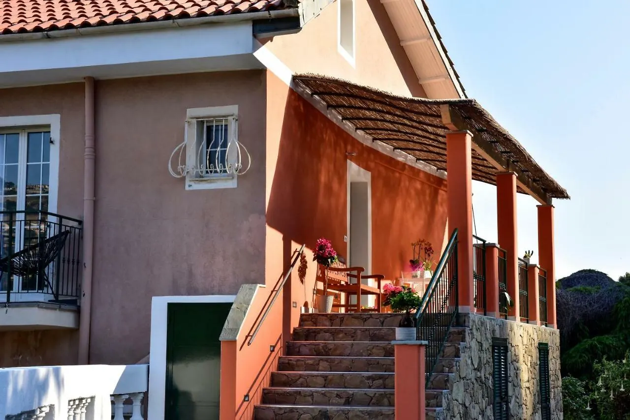 Agriturismo Un Mare Di Fiori 벤티밀리아 팜스테이