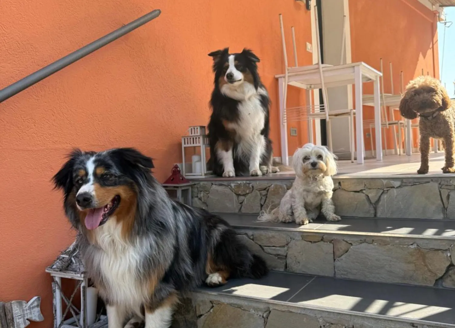 Farm stay Agriturismo Un Mare Di Fiori Ventimiglia